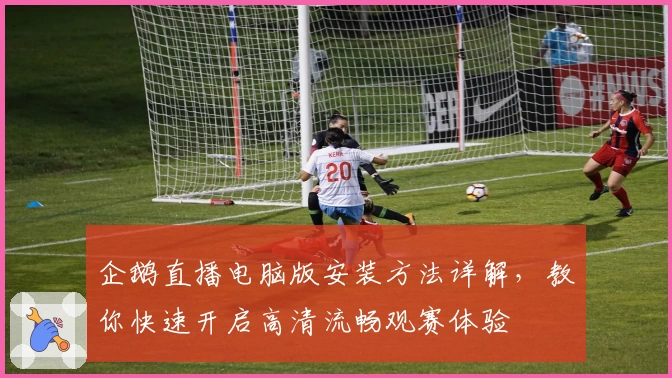 企鹅直播电脑版安装方法详解，教你快速开启高清流畅观赛体验