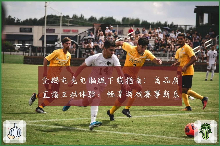 企鹅电竞电脑版下载指南：高品质直播互动体验，畅享游戏赛事新乐趣