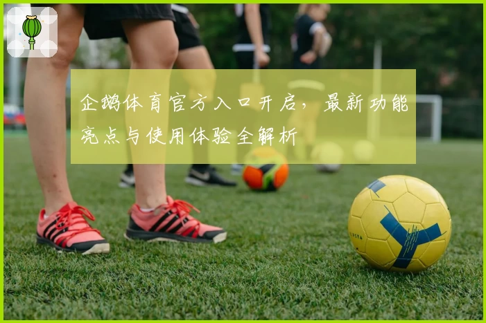 企鹅体育官方入口开启，最新功能亮点与使用体验全解析