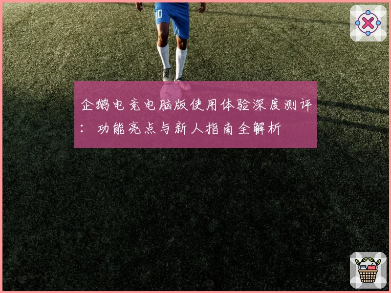 企鹅电竞电脑版使用体验深度测评：功能亮点与新人指南全解析