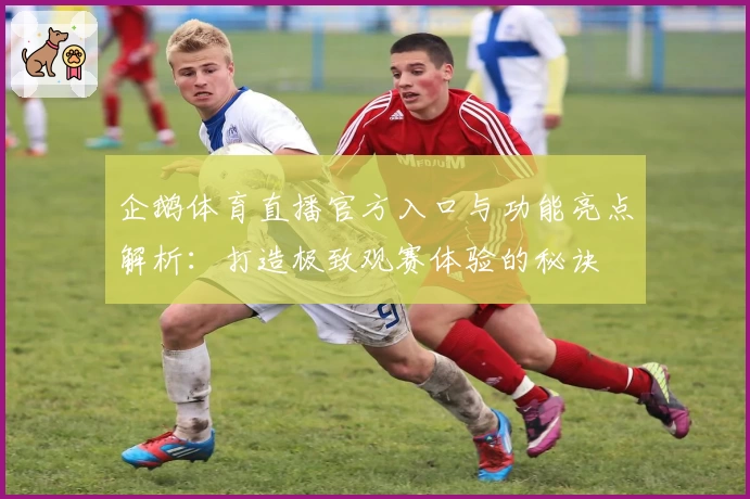企鹅体育直播官方入口与功能亮点解析：打造极致观赛体验的秘诀