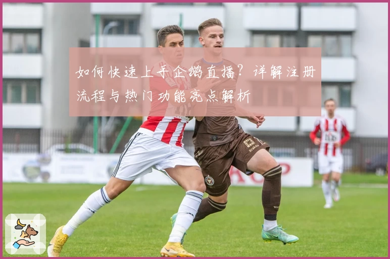 如何快速上手企鹅直播？详解注册流程与热门功能亮点解析