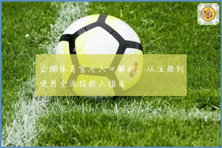 企鹅体育官方入口解析：从注册到使用全流程新人指南