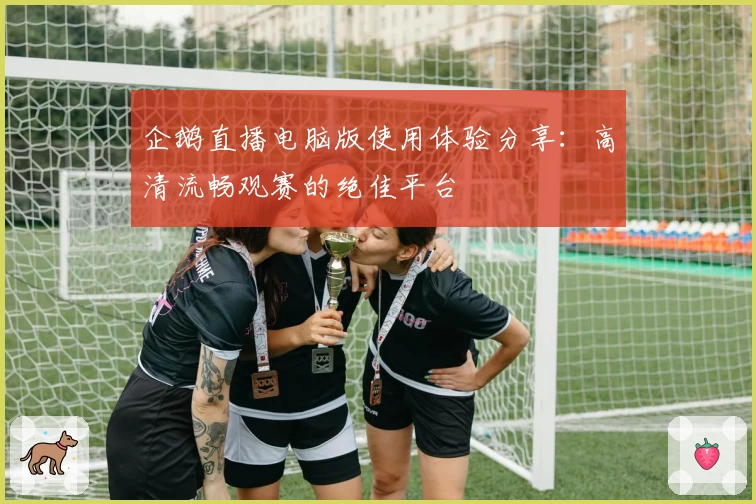 企鹅直播电脑版使用体验分享：高清流畅观赛的绝佳平台