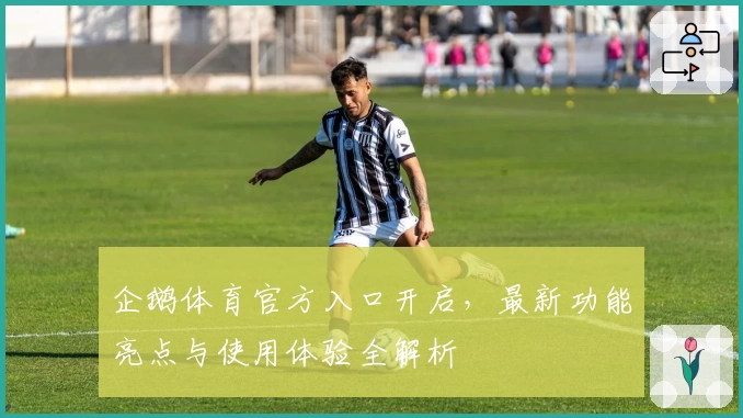 企鹅体育官方入口开启，最新功能亮点与使用体验全解析