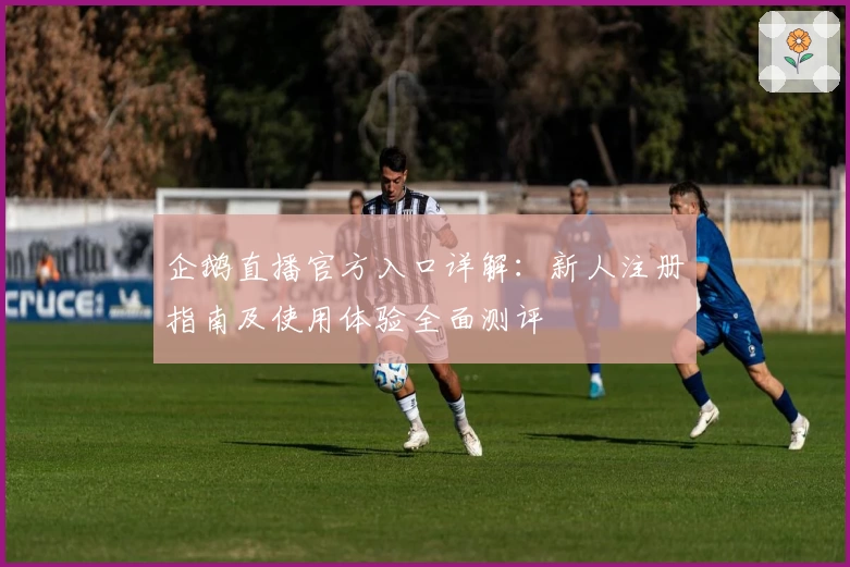 企鹅直播官方入口详解：新人注册指南及使用体验全面测评