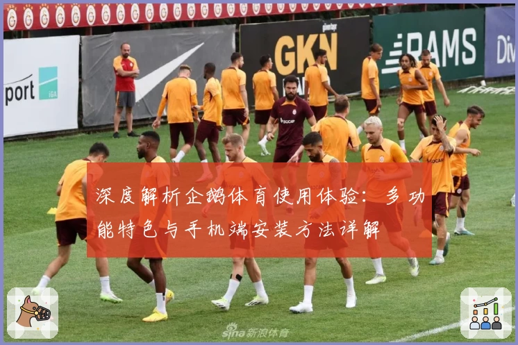 深度解析企鹅体育使用体验：多功能特色与手机端安装方法详解