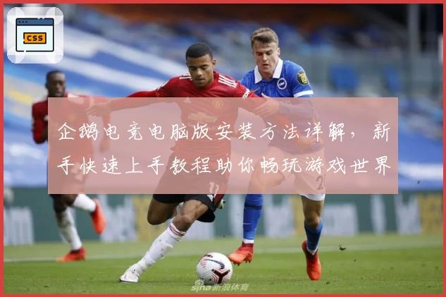 企鹅电竞电脑版安装方法详解，新手快速上手教程助你畅玩游戏世界